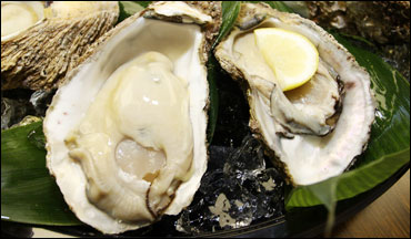 Iwagaki【Japanese Rock Oyster】