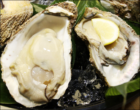 Iwagaki【Japanese Rock Oyster】