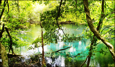 Maruike-sama Pond