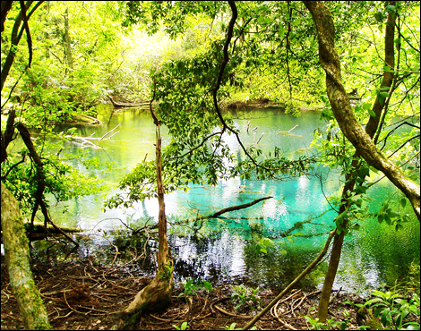 Maruike-sama Pond