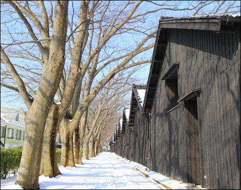 Sankyo-soko Rice Storehouses (Sakata Yume-no-Kura Souvenir Shop)