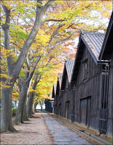 Sankyo-soko Rice Storehouses (Sakata Yume-no-Kura Souvenir Shop)