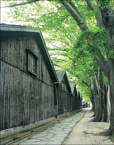 Sankyo-soko Rice Storehouses (Sakata Yume-no-Kura Souvenir Shop)