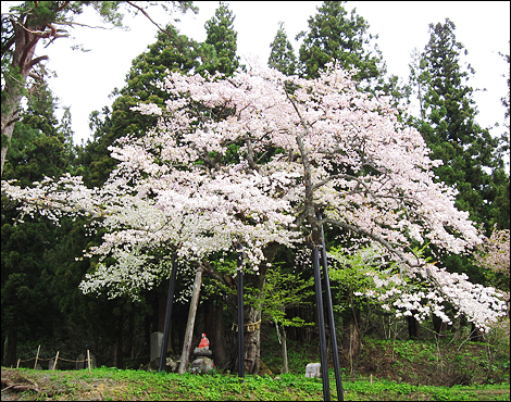 Churen-ji Temple