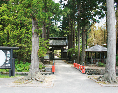 Gyokusen-ji Temple